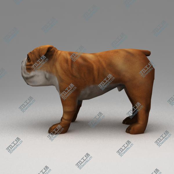 images/goods_img/202104091/9 Rigged Dogs Pack/5.jpg